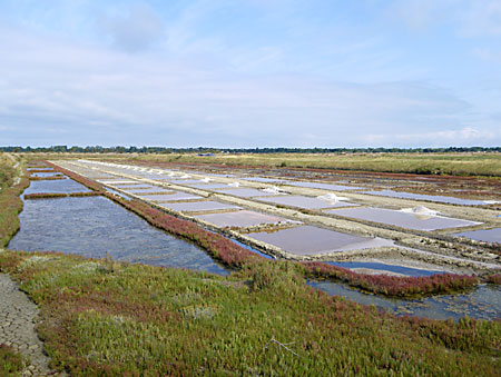 Salines